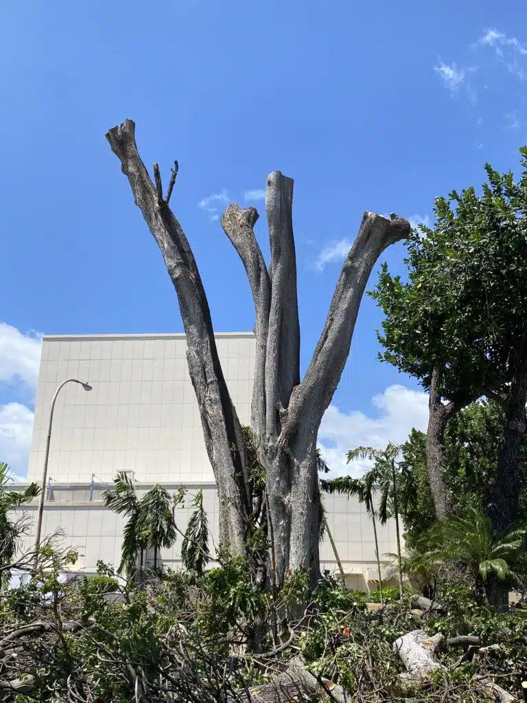 71323198818__C8E6812B-E19C-4259-B598-A713480C9491