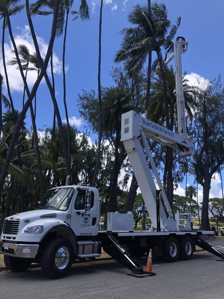 htm tree services in hawaii