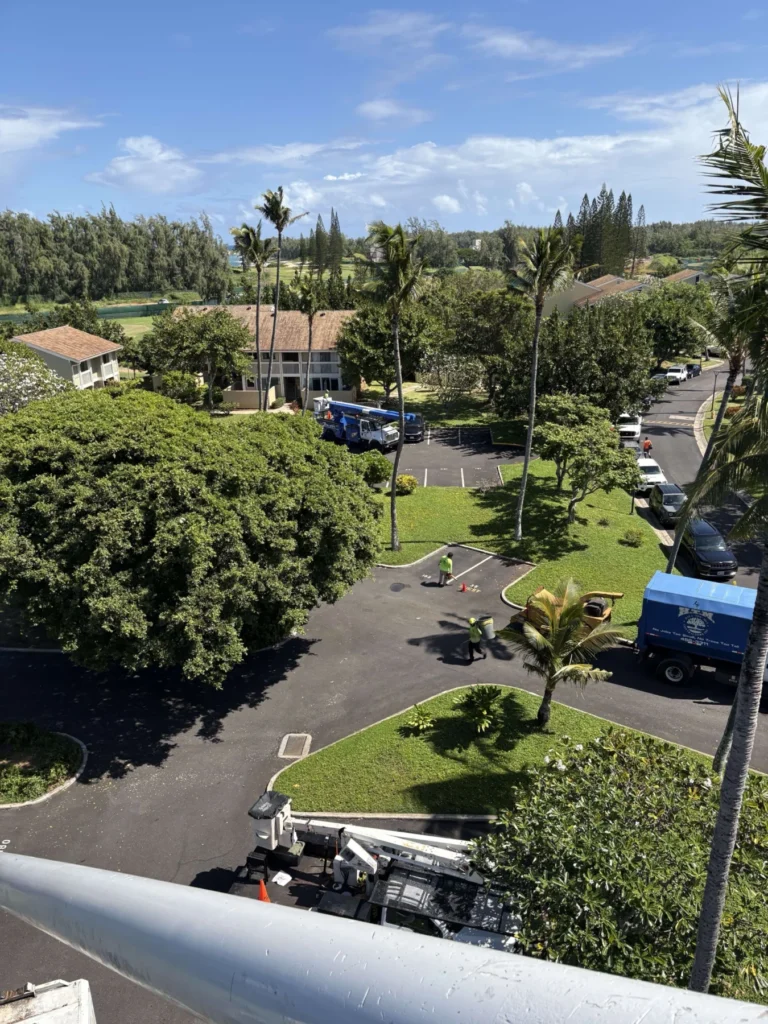 HTM crew and chipper trimming coconut palms at an Oahu condo community