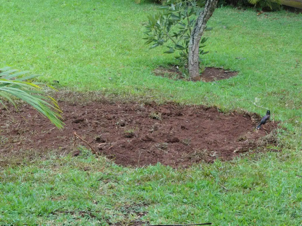 Hawaii Light Demolition Services