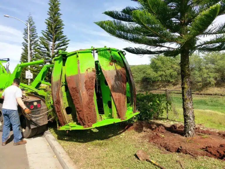 Tree Transplanting HTM Contractors Hawaii