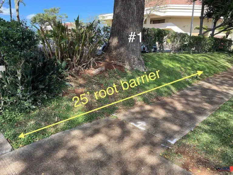 Root Barrier Installation Hawaii - HTM Contractors