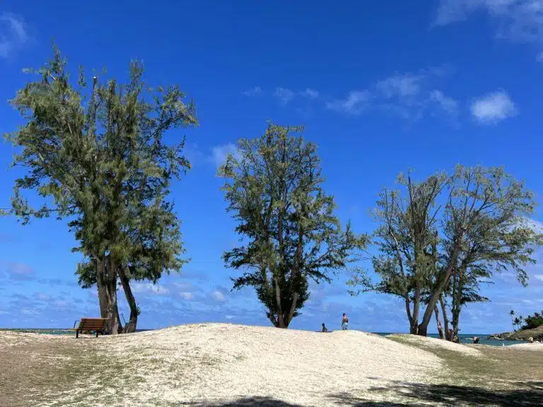 Crown Reduction In Hawaii