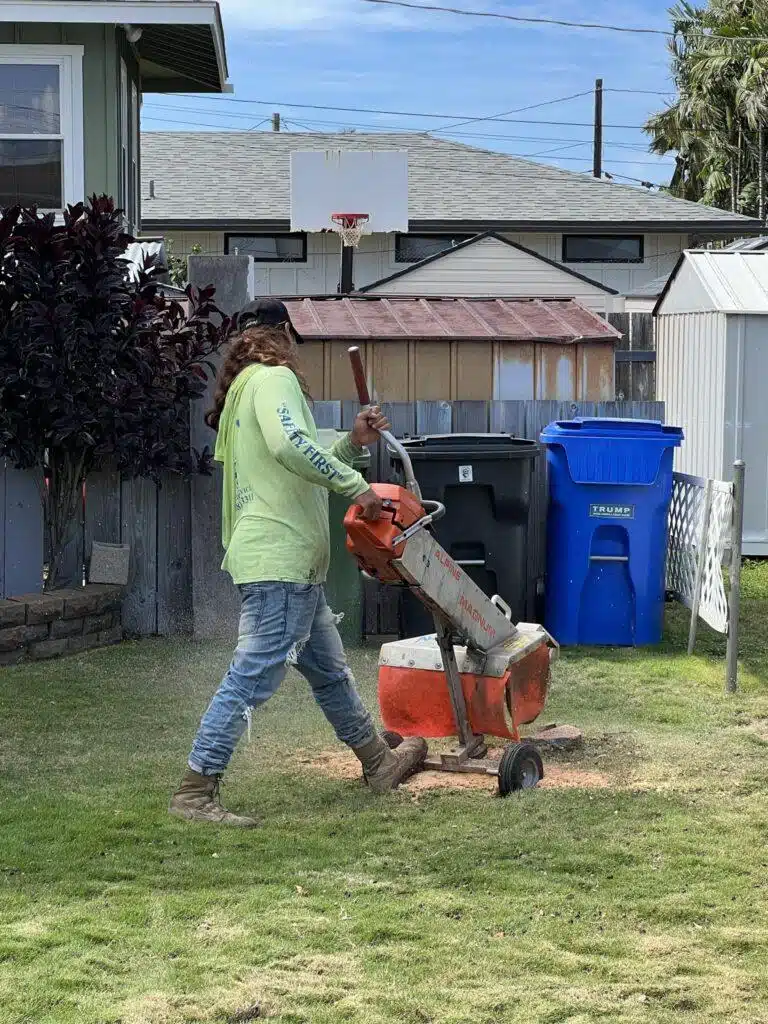 Stump Grinding and Removal Hawaii - HTM Contractors