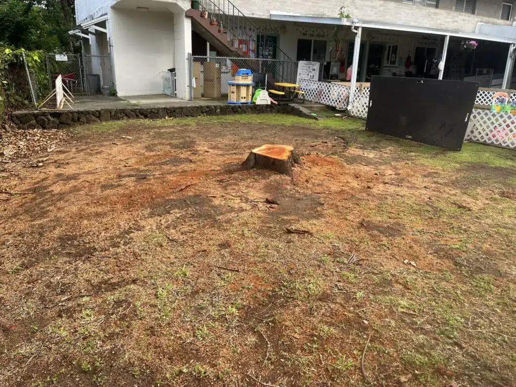 Stump Grinding and Removal Hawaii - HTM Contractors