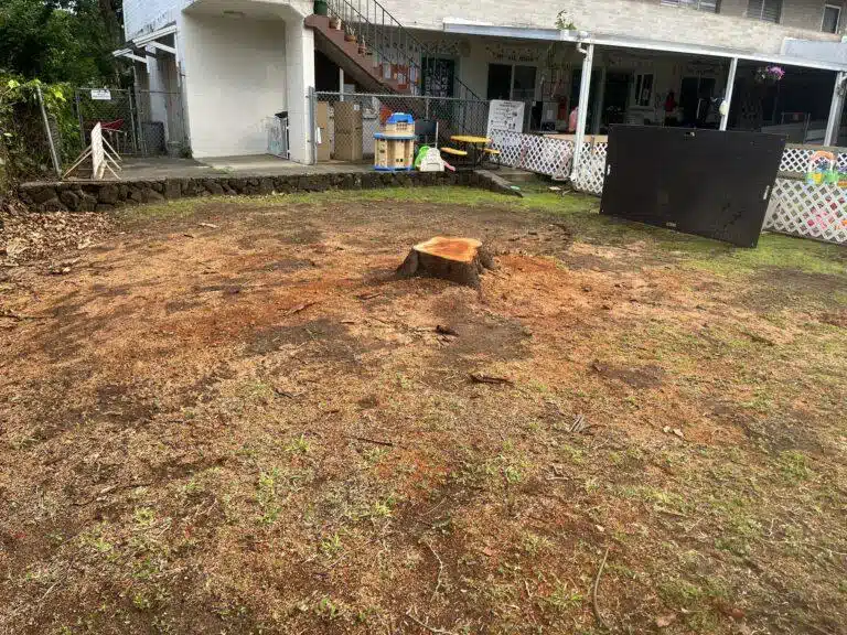 Stump Grinding and Removal Hawaii - HTM Contractors