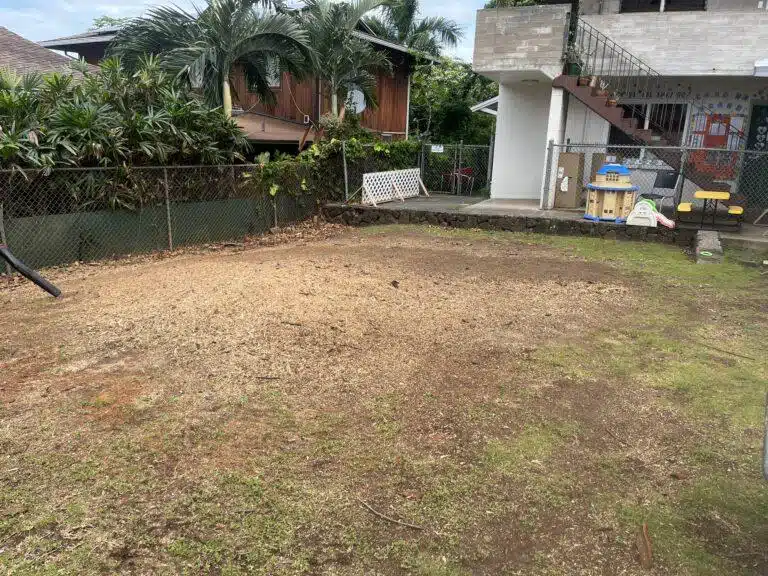 Stump Grinding and Removal Hawaii - HTM Contractors