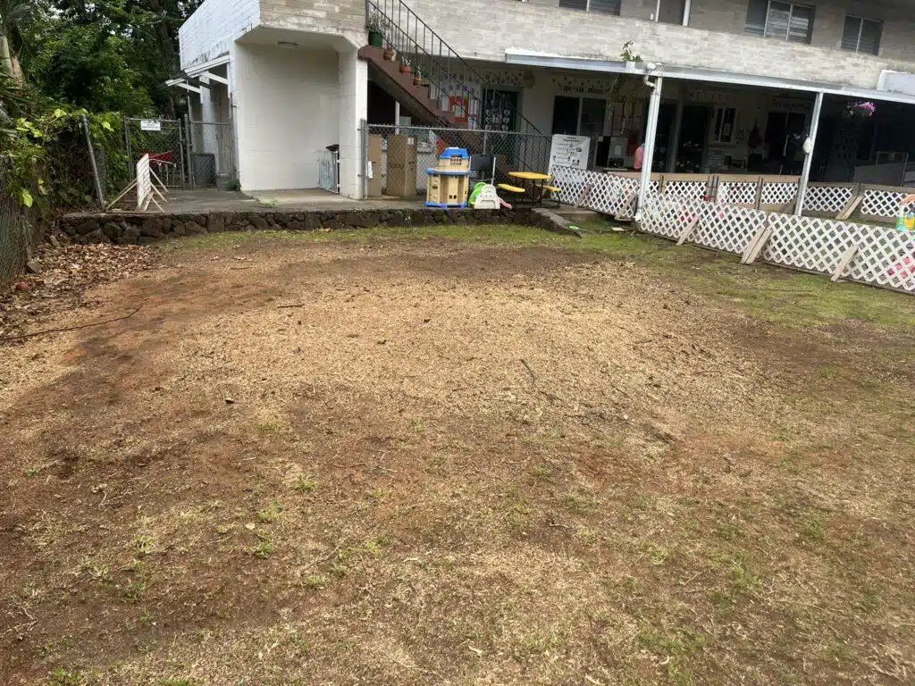 Stump Grinding and Removal Hawaii - HTM Contractors