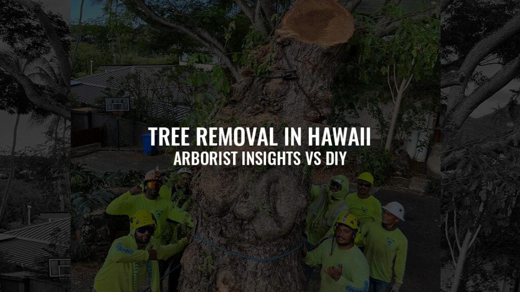 Tree Removal in Hawaii: Expert Process and Arborist Insights vs. DIY on Oahu