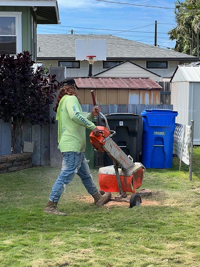 Stump Grinding In Hawaii