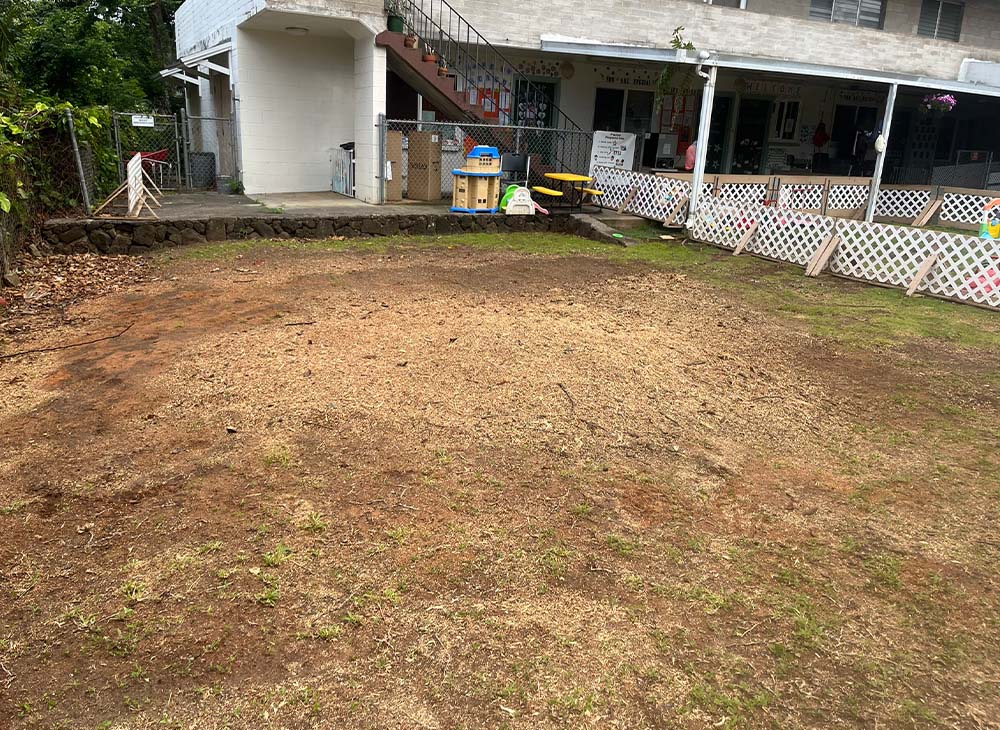 Stump Grinding In Hawaii