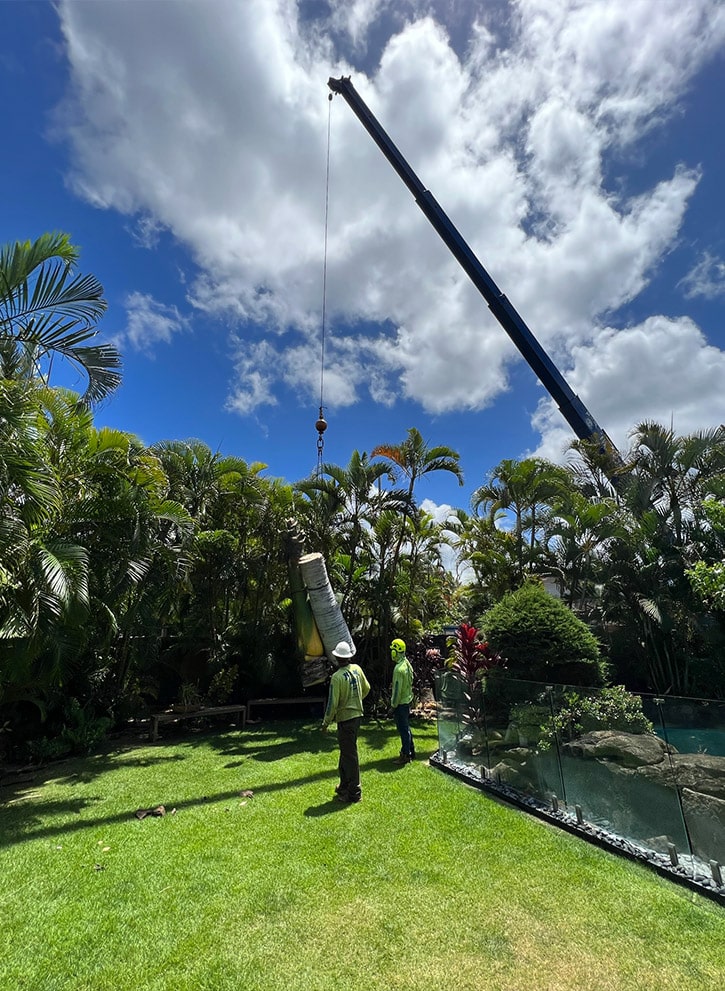 Tree Services In Hawaii - Oahu