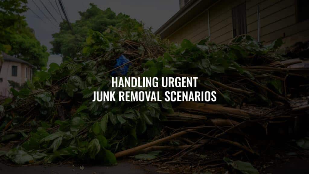 Hawaii’s Quick Response Guide: Handling Urgent Junk Removal Scenarios