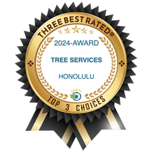 HTM Contractors Three Best Rated Tree Services