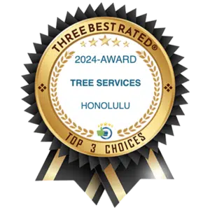HTM Contractors Three Best Rated Tree Services