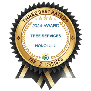 HTM Contractors Three Best Rated Tree Services