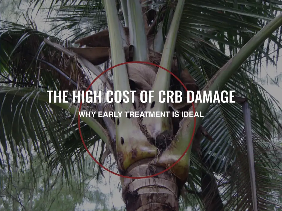 CRB Preventative Maintenance Hawaii