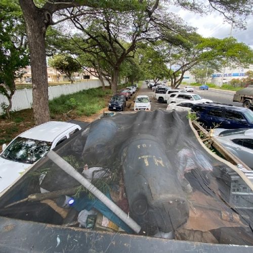 Junk Removal Services Hawaii