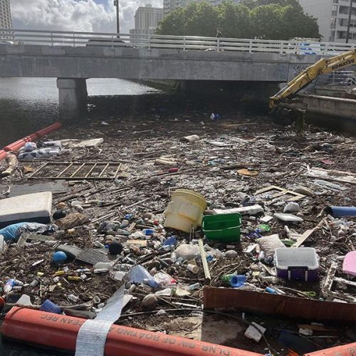 Hawaii Junk Removal At Ala Wai Harbor