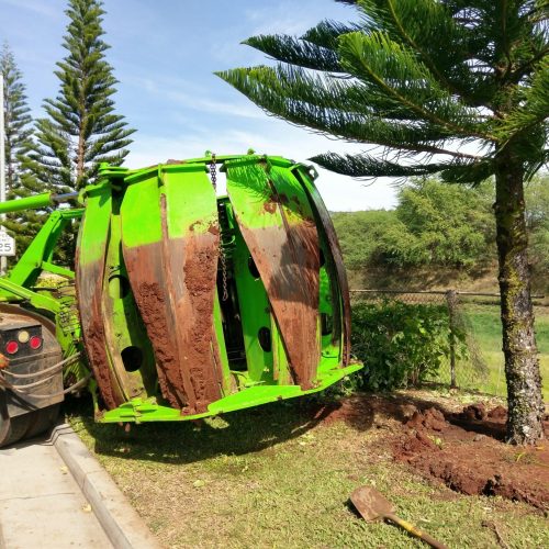 Tree Transplanting HTM Contractors Hawaii