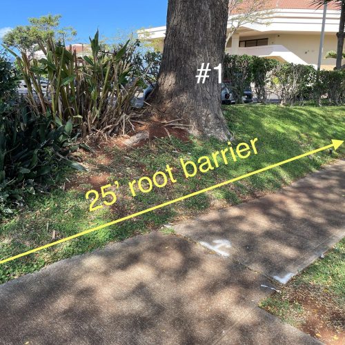 Root Barrier Installation Hawaii - HTM Contractors