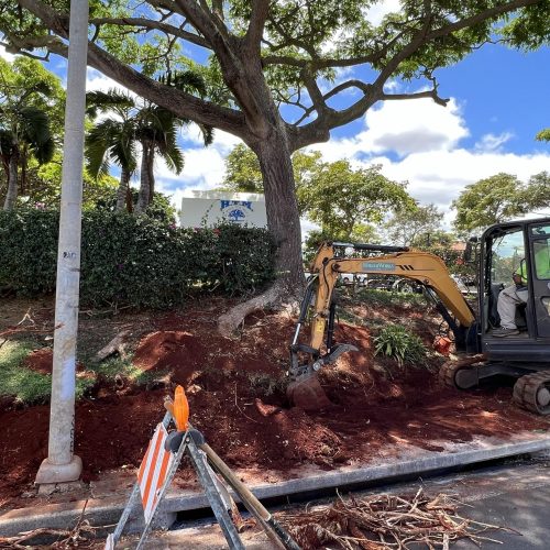 Root Barrier Installation Hawaii - HTM Contractors
