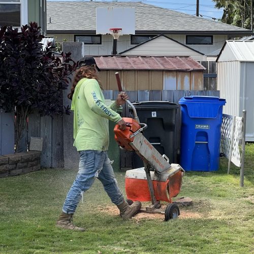 Stump Grinding and Removal Hawaii - HTM Contractors