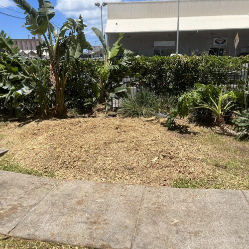 Stump Grinding and Removal Hawaii - HTM Contractors