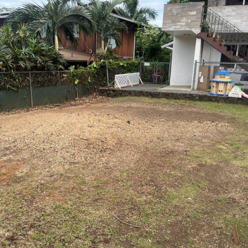 Stump Grinding and Removal Hawaii - HTM Contractors