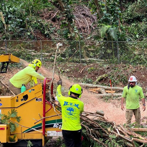 Land Clearing Services Hawaii - HTM Contractors