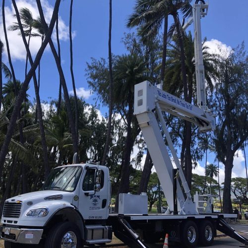 htm tree services in hawaii