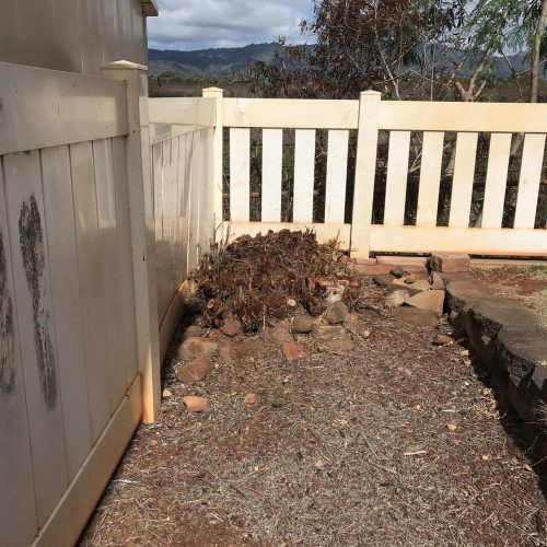 Stump Grinding and Removal Hawaii - HTM Contractors