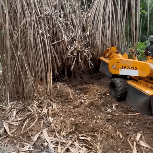 Stump Grinding In Hawaii - HTM Contractors