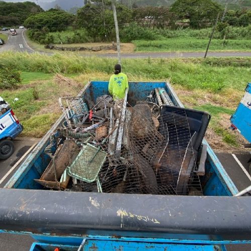 City Junk Removal Services In Hawaii